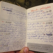 Mubarak's Journal